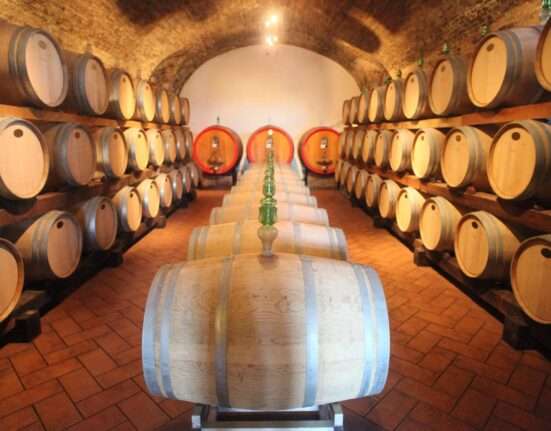 Setor vitivinícola italiano celebra aprovação do acordo UE-Mercosul pelo Senado Beleza