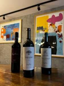 ‘Oscar do vinho’: vinícola argentina premiada mundialmente tem rótulos exclusivos na Decanter Goiânia Gastronomia