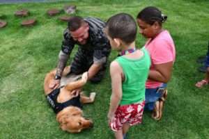 Ceilândia receberá lançamento do CRASANIMAL, espaço voltado à cinoterapia, adoção responsável e proteção animal Geral