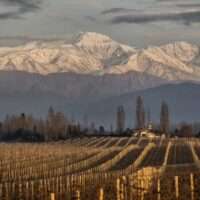 ‘Oscar do vinho’: vinícola argentina premiada mundialmente tem rótulos exclusivos na Decanter Goiânia Colunismo Social