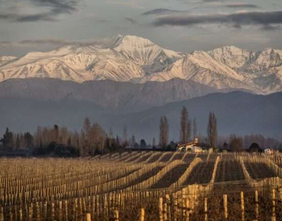 ‘Oscar do vinho’: vinícola argentina premiada mundialmente tem rótulos exclusivos na Decanter Goiânia Beleza