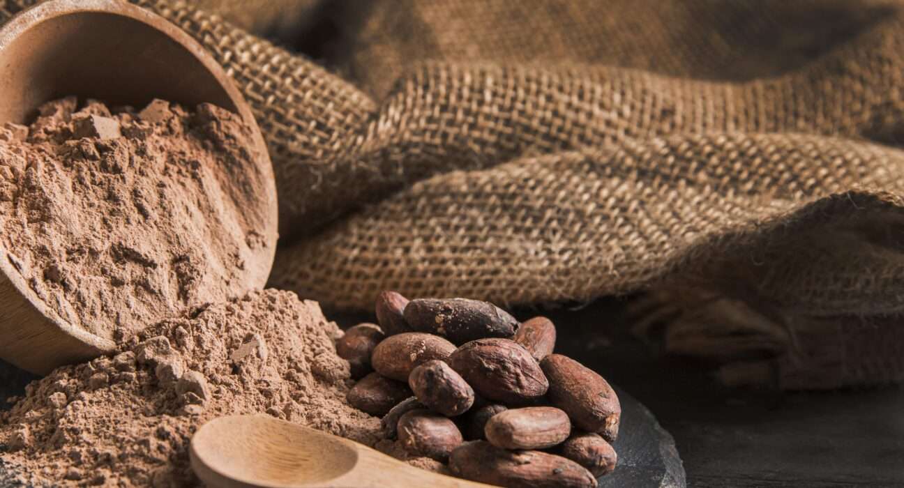 Dia do Cacau: celebremos este alimento que já foi considerado um presente dos deuses Gastronomia