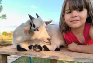 Turismo rural: cinco lugares no DF para conhecer no feriado Turismo