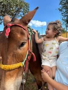 Turismo rural: cinco lugares no DF para conhecer no feriado Turismo