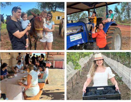 Turismo rural: cinco lugares no DF para conhecer no feriado Turismo