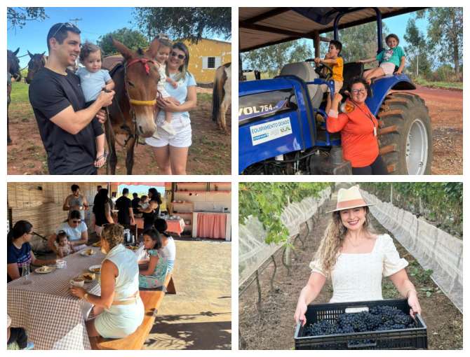 Turismo rural: cinco lugares no DF para conhecer no feriado Turismo