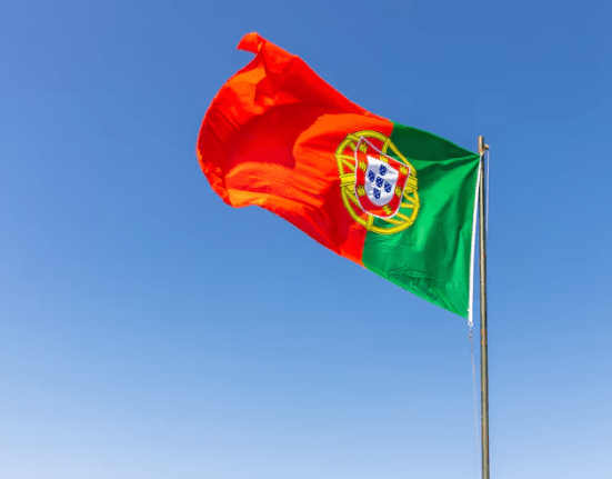 Os três erros que mais atrasam processos de visto português Colunismo Social