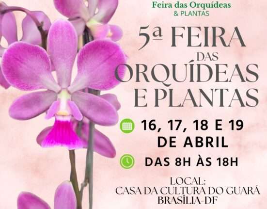 5ª Feira das Orquídeas & Plantas chega em Brasília com entrada gratuita e reúne mais de 15 mil espécies colecionáveis Eventos