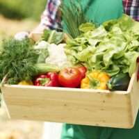 Dia Mundial da Saúde reforça importância de hábitos alimentares mais saudáveis e conscientes Dicas