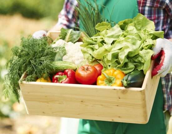 Dia Mundial da Saúde reforça importância de hábitos alimentares mais saudáveis e conscientes empreendedores