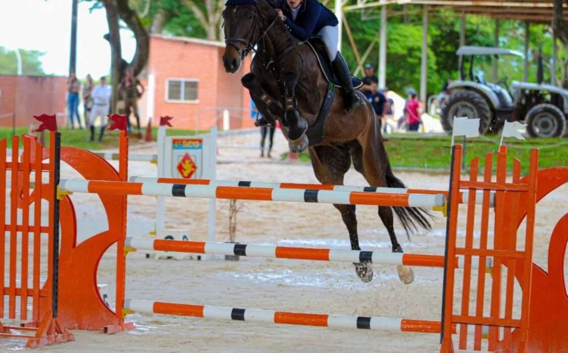 Copa Brasília de Hipismo celebra aniversário da capital federal e reúne atletas na Sociedade Hípica de Brasília Esporte