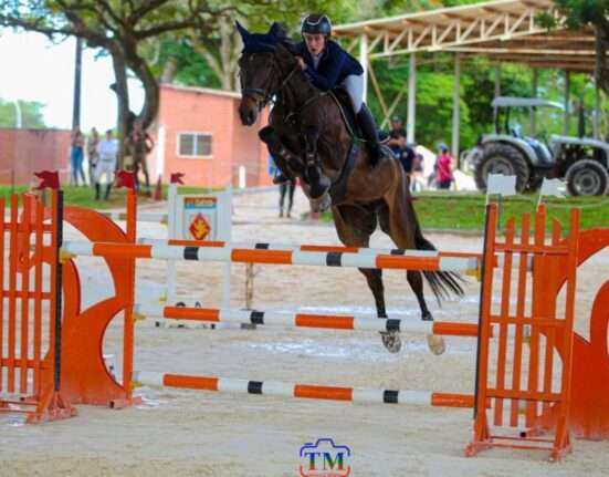Copa Brasília de Hipismo celebra aniversário da capital federal e reúne atletas na Sociedade Hípica de Brasília Esporte