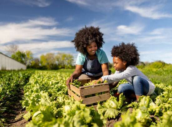 Projeto Mulheres no Campo abre novas inscrições para capacitação gratuita de mulheres rurais em Brazlândia Oficinas