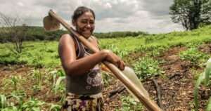 Projeto Mulheres no Campo abre novas inscrições para capacitação gratuita de mulheres rurais em Brazlândia agro