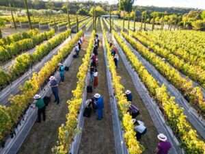 Turismo rural: cinco lugares no DF para conhecer no feriado Turismo