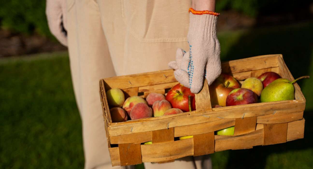 Projeto que criminaliza descarte de alimentos gera críticas de especialistas e levanta alerta jurídico Notícias