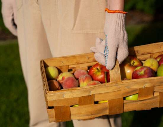 Projeto que criminaliza descarte de alimentos gera críticas de especialistas e levanta alerta jurídico Notícias
