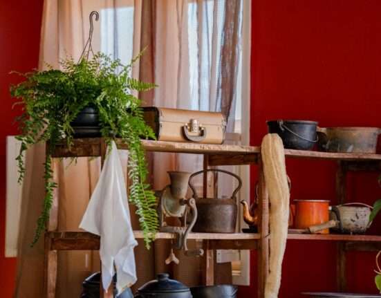 Projeto Quintal de Memórias abre as portas para as histórias das mulheres que ergueram Brasília Artes