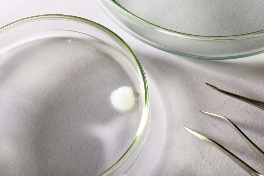 Avon desenvolve primeira pele bioimpressa em laboratório que reproduz efeitos da menopausar Beleza
