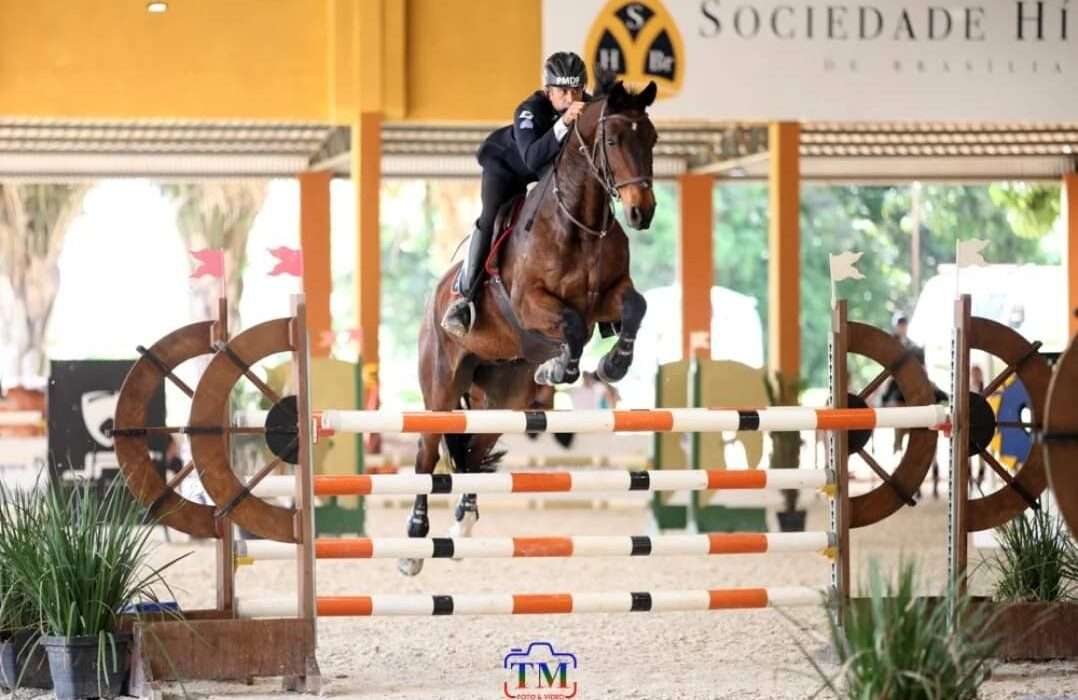 XXXVIII Concurso de Salto Coronel Rabelo movimenta o hipismo brasiliense no Regimento de Polícia Montada Eventos