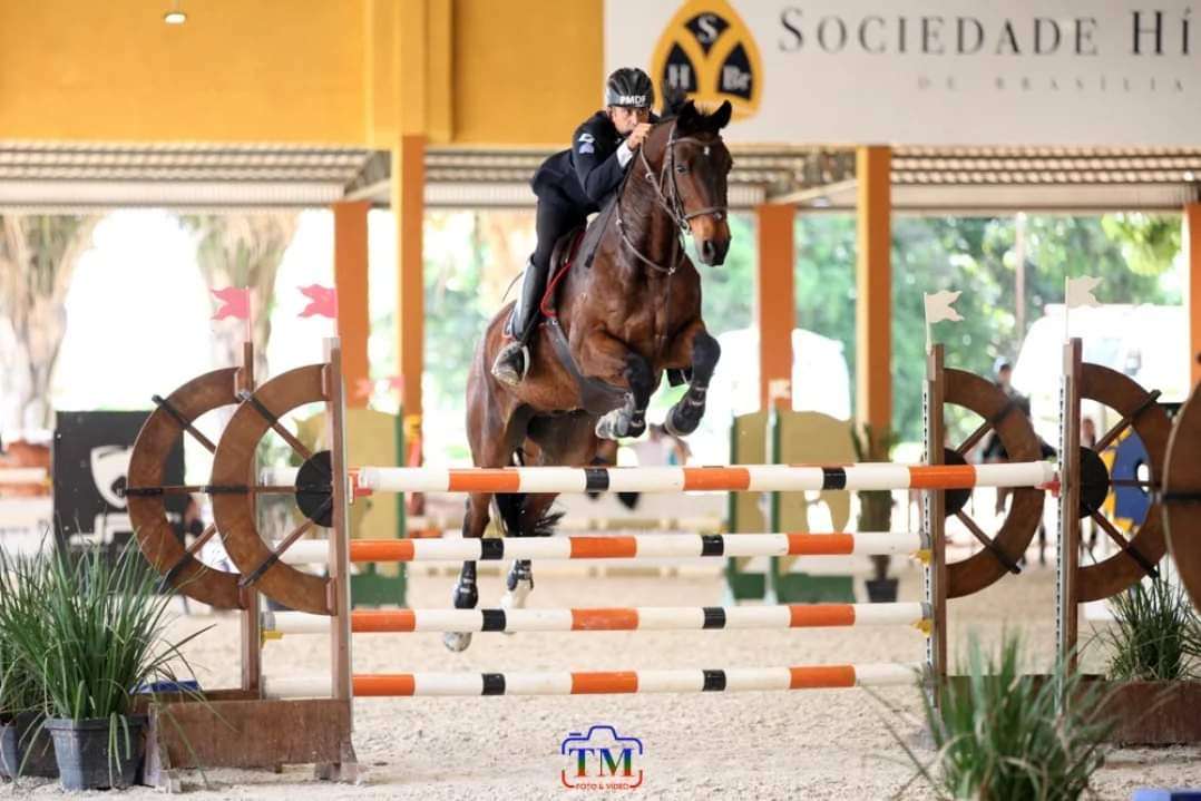 post XXXVIII Concurso de Salto Coronel Rabelo movimenta o hipismo brasiliense no Regimento de Polícia Montada Eventos XXXVIII Concurso de Salto Coronel Rabelo movimenta o hipismo brasiliense no Regimento de Polícia Montada Eventos