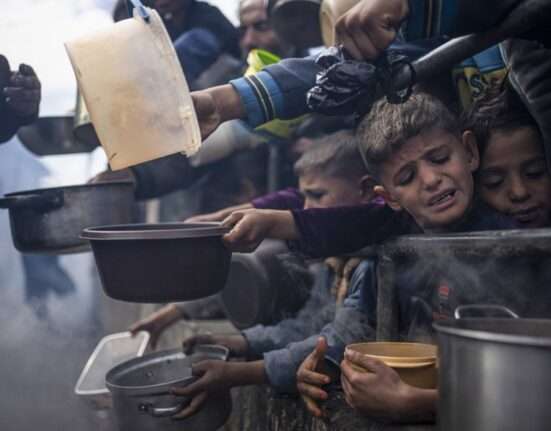 Cinco gráficos para entender as crises alimentares no mundo Internacional