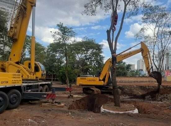 39 árvores quase centenárias ganham novo endereço em Anápolis Dicas