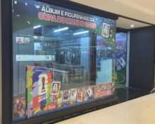Junho no Alameda Shopping reúne arte, cultura, esporte e experiências para toda a família Cultura