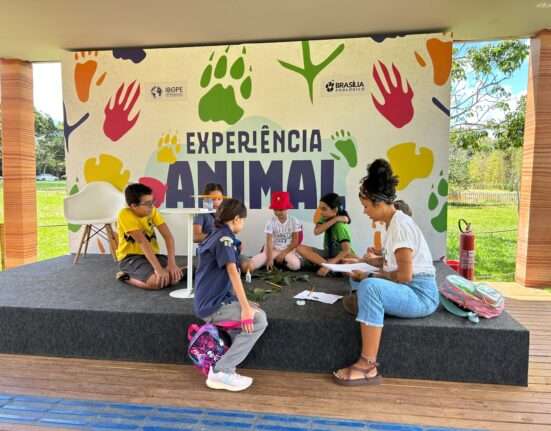 Férias no Zoológico de Brasília reúnem duas experiências imersivas sobre a natureza e a biodiversidade Dicas