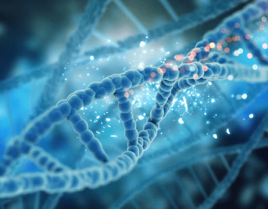 Seus genes guiam a sua vida?: Consultoria baseada em dados genéticos é nova tendência Moda