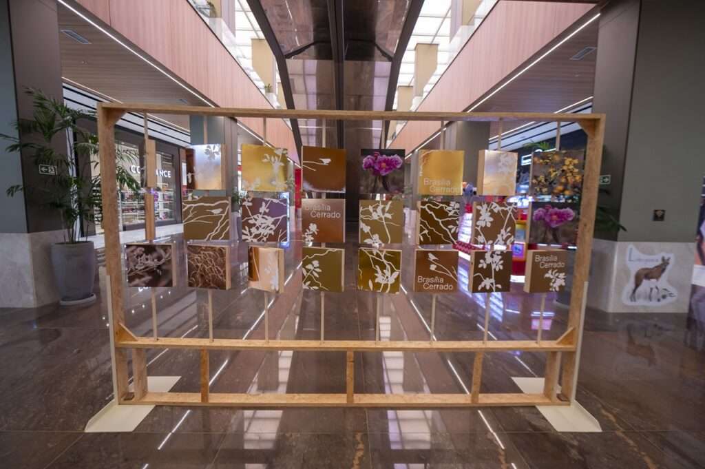 post Exposição “Brasília Cerrado: Uma Ode à Seca” chega ao Manhattan Shopping com experiência inspirada na riqueza do bioma Brasília Cerrado Exposição “Brasília Cerrado: Uma Ode à Seca”