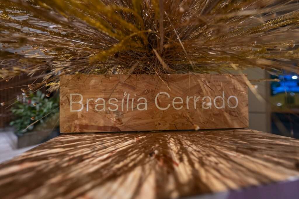 post Exposição “Brasília Cerrado: Uma Ode à Seca” chega ao Manhattan Shopping com experiência inspirada na riqueza do bioma Brasília Cerrado Exposição “Brasília Cerrado: Uma Ode à Seca”
