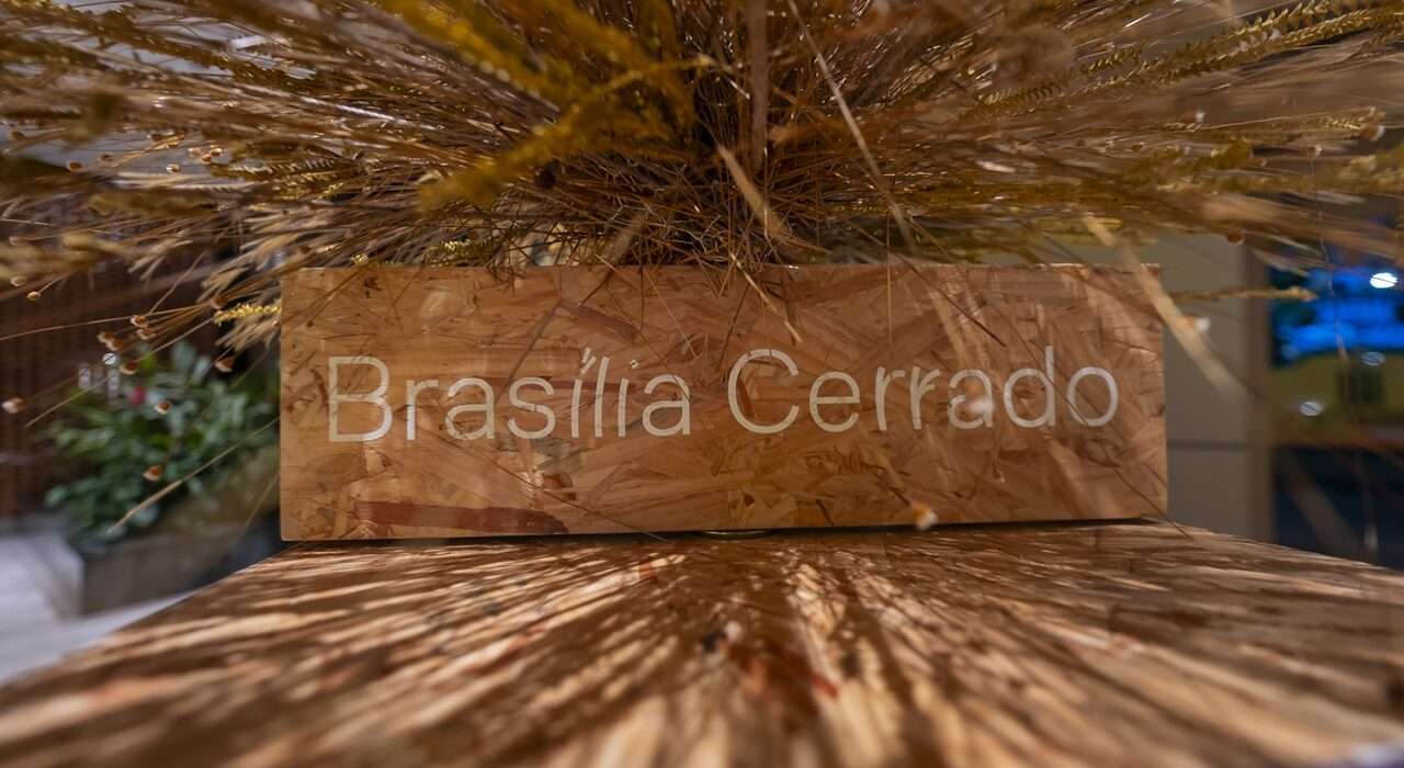Exposição “Brasília Cerrado: Uma Ode à Seca”