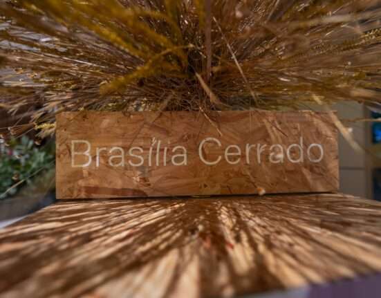 Exposição “Brasília Cerrado: Uma Ode à Seca”