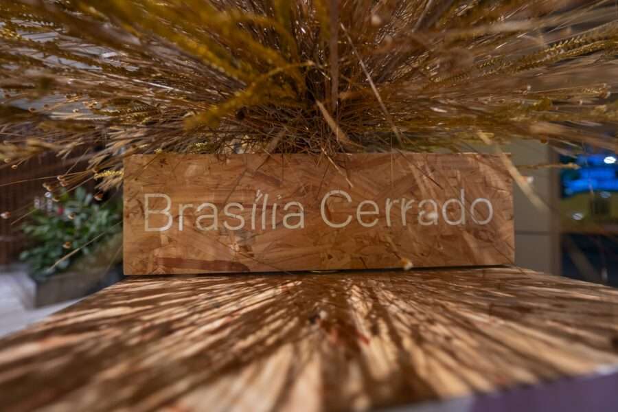 Exposição “Brasília Cerrado: Uma Ode à Seca”