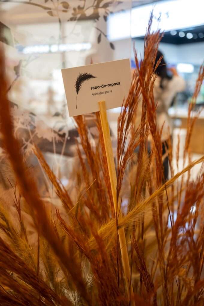 post Exposição “Brasília Cerrado: Uma Ode à Seca” chega ao Manhattan Shopping com experiência inspirada na riqueza do bioma Brasília Cerrado Exposição “Brasília Cerrado: Uma Ode à Seca”